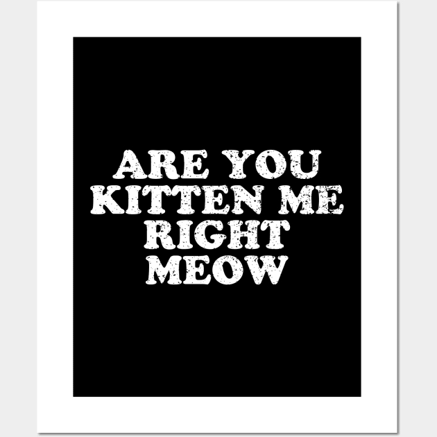 Are You Kitten Me Right Meow Wall Art by abstractsmile